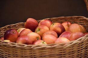 Radisson Blu M'Bamou Palace Hotel