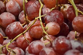 Radisson Blu M'Bamou Palace Hotel