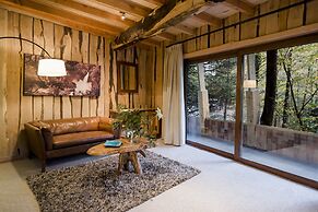 Huilo Huilo Reino Fungi