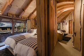 Huilo Huilo Reino Fungi