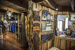 Huilo Huilo Reino Fungi