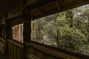 Huilo Huilo Reino Fungi