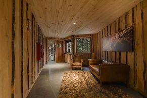 Huilo Huilo Reino Fungi