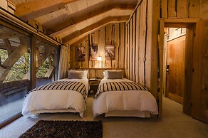 Huilo Huilo Reino Fungi