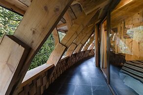 Huilo Huilo Reino Fungi