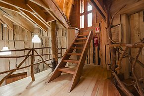 Huilo Huilo Reino Fungi