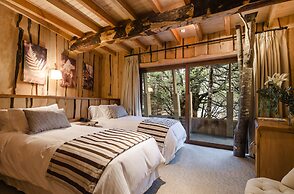 Huilo Huilo Reino Fungi