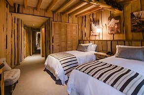 Huilo Huilo Reino Fungi