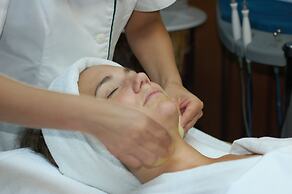 Huilo Huilo Reino Fungi