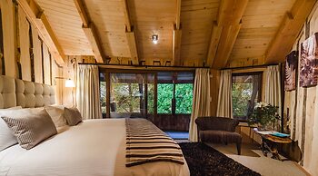 Huilo Huilo Reino Fungi