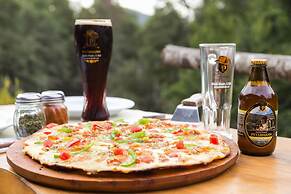 Huilo Huilo Reino Fungi