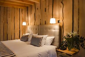 Huilo Huilo Reino Fungi