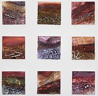 Costislost Organic Retreat