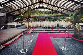 Anrán at Tidwell Farm