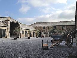 Anrán at Tidwell Farm