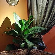 Gîte À l'Augustine