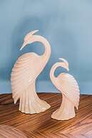 Darlo Bar Darlinghurst