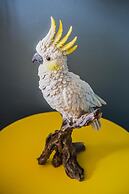 Darlo Bar Darlinghurst