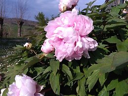 La Vittoria 10 - La Soglia della Val d'Orcia