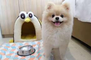 Cross Vibe Chiang Mai Decem