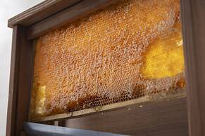 Premier Hotel Mojiko