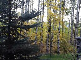 Pinnacle Inn & Suites Aspen