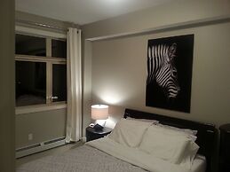 Pinnacle Inn & Suites Aspen