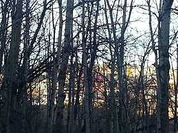 Pinnacle Inn & Suites Aspen