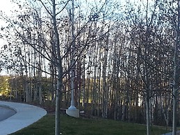 Pinnacle Inn & Suites Aspen