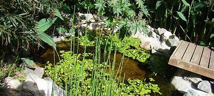 CDL - containers design loft