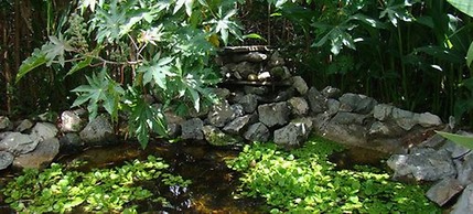 CDL - containers design loft