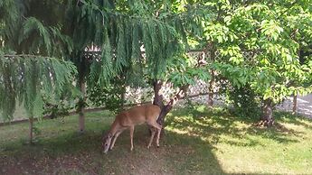 Cornerstone Bed and Breakfast