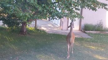 Cornerstone Bed and Breakfast