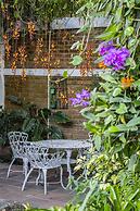 Árbol de Fuego Eco-hotel, a green experience in the city