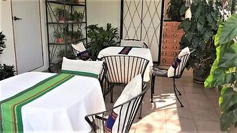 Árbol de Fuego Eco-hotel, a green experience in the city