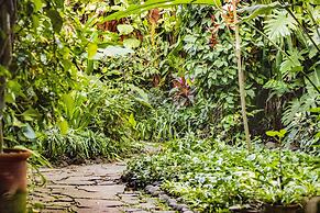 Árbol de Fuego Eco-hotel, a green experience in the city