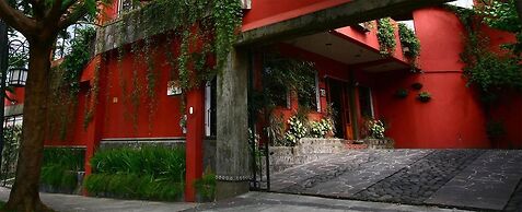 Árbol de Fuego Eco-hotel, a green experience in the city