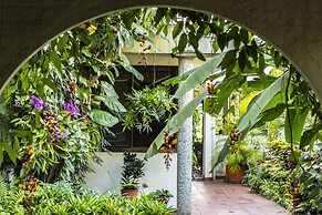 Árbol de Fuego Eco-hotel, a green experience in the city