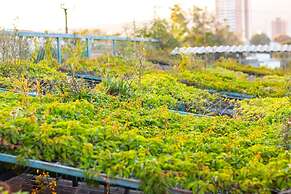 Árbol de Fuego Eco-hotel, a green experience in the city