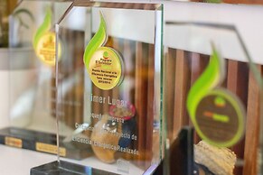 Árbol de Fuego Eco-hotel, a green experience in the city