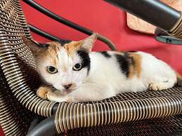 Baan Ton Rak Boutique Resort