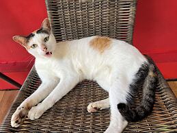 Baan Ton Rak Boutique Resort