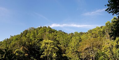 The Kandy Samadhi Centre