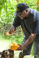 Chez Ronald Guest House