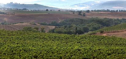 Agriturismo A. Bonacchi
