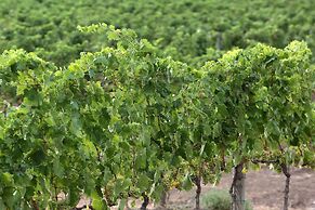 Agriturismo A. Bonacchi