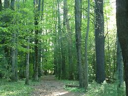 Morning Glory B n B Woodstock NY