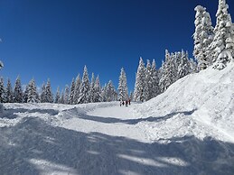 Callahan's Mountain Lodge