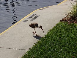 Hontoon Landing Resort & Marina