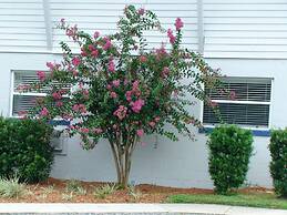 Hontoon Landing Resort & Marina